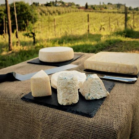 Agriturismo Fattoria Le Caprine Gambassi Terme Luaran gambar
