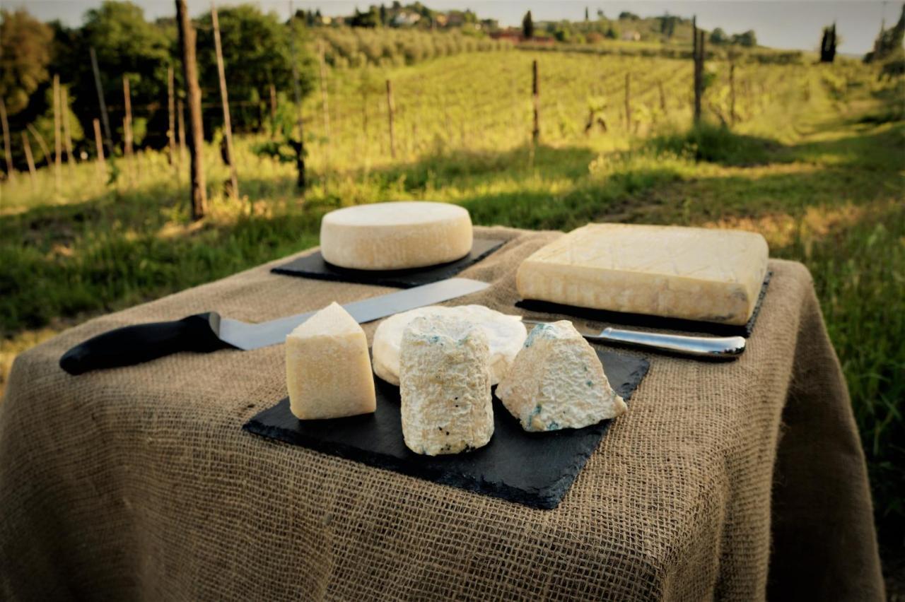 Agriturismo Fattoria Le Caprine Gambassi Terme Luaran gambar