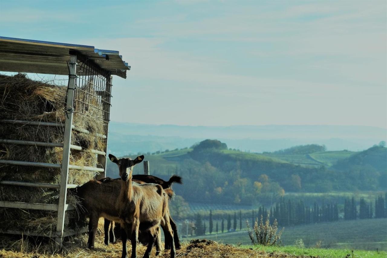 Agriturismo Fattoria Le Caprine Gambassi Terme Luaran gambar