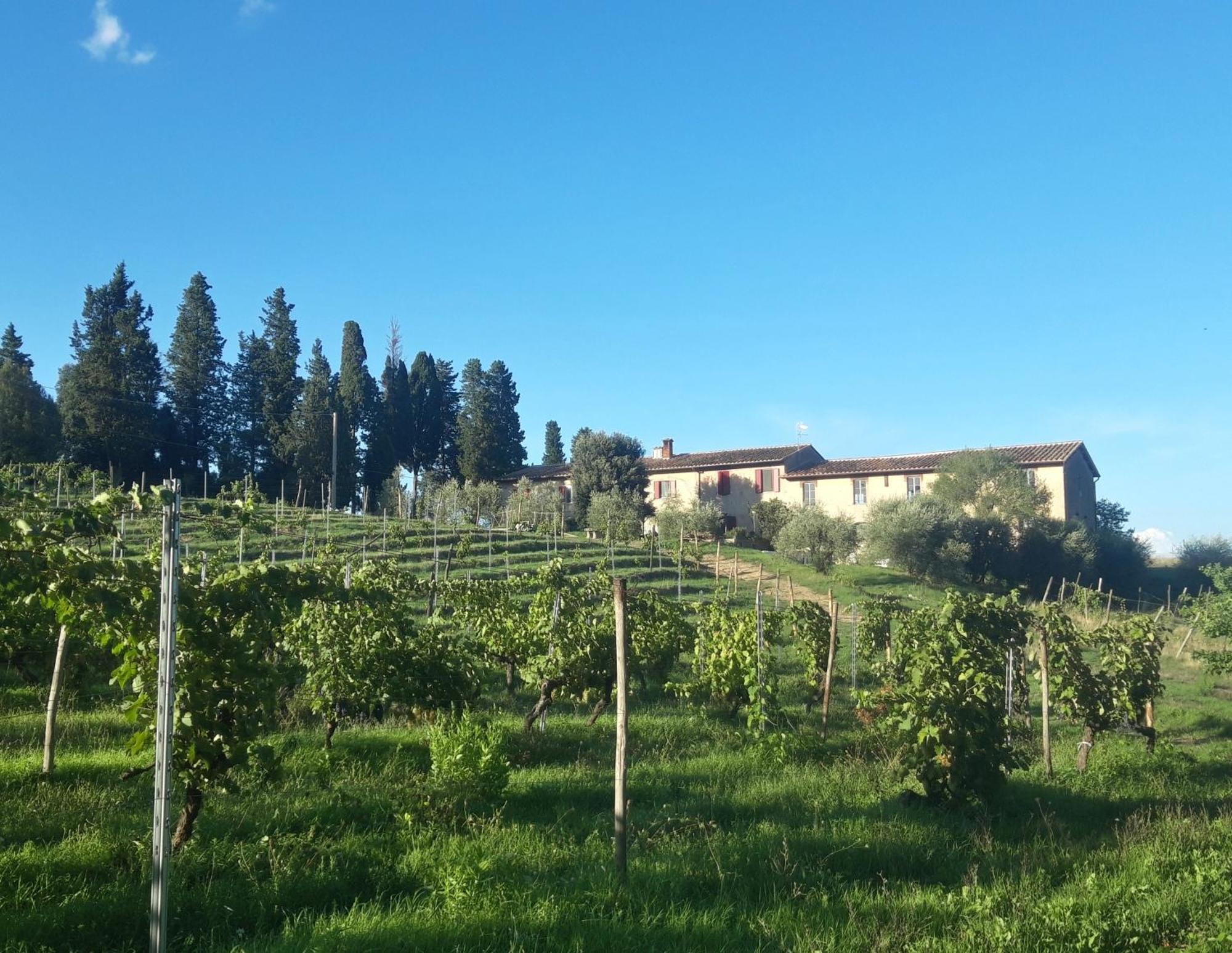 Agriturismo Fattoria Le Caprine Gambassi Terme Luaran gambar