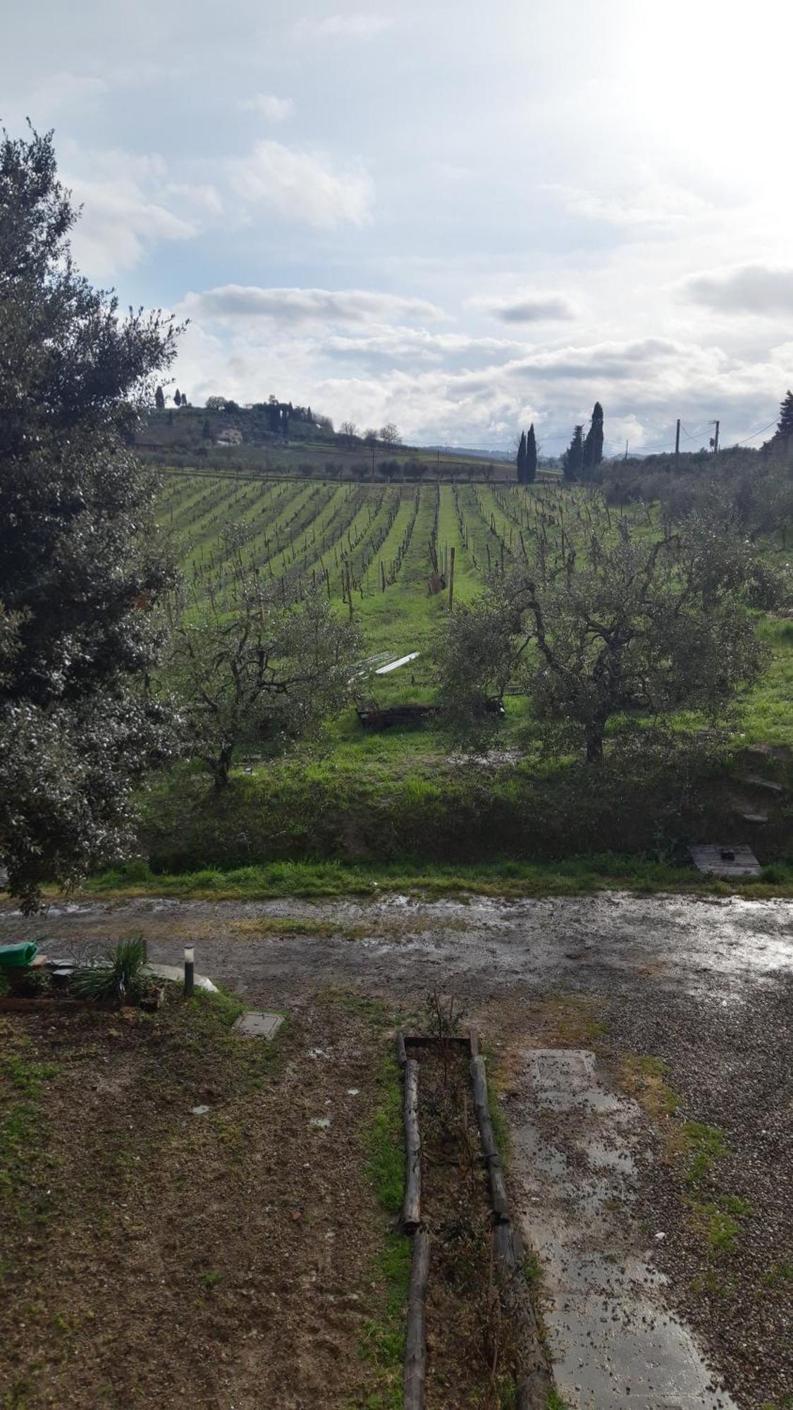 Agriturismo Fattoria Le Caprine Gambassi Terme Luaran gambar